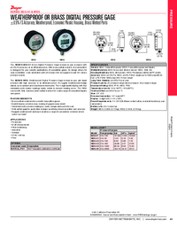 Thumbnail of document Data Sheet - WDG Weatherproof Digital Pressure Gage